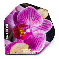 SET 3 ALETTE BULL'S PINK ORCHID - Bull's