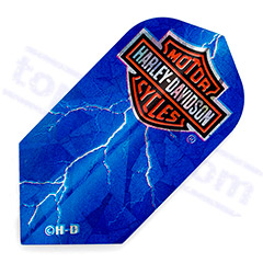 SET 3 ALETTE HOLOGRAM HARLEY DAVIDSON SLIM - Target